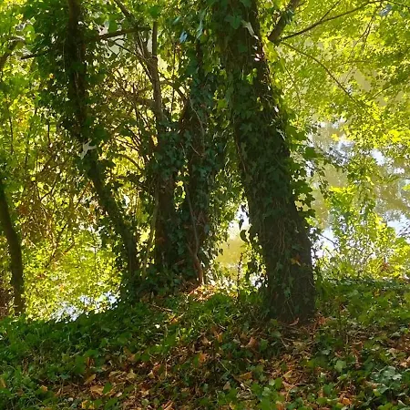 Au Bord De L'eau *